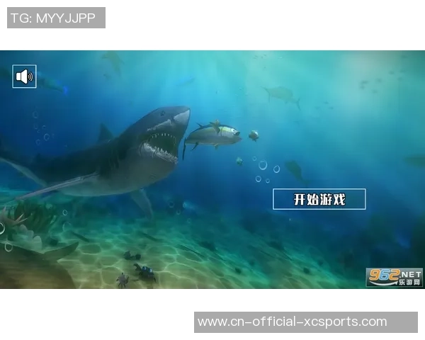 布莱顿2-0客胜森林，德克伊珀破僵，齐马斯确定胜局